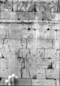 Photo »985« of the Edfu-Project.