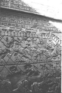 Photo »1289« aus dem Edfu-Projekt.