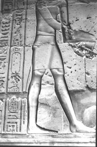 Photo »1323« aus dem Edfu-Projekt.