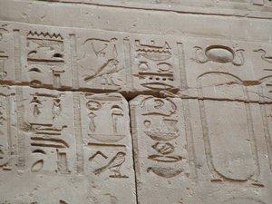 Photo »D05_3502« aus dem Edfu-Projekt.