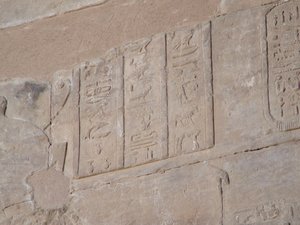 Photo »D05_4406« of the Edfu-Project.