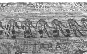 Photo »1505« aus dem Edfu-Projekt.