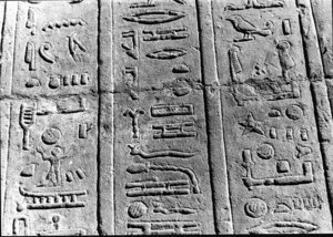 Photo »2750« aus dem Edfu-Projekt.
