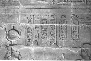 Photo »4134« aus dem Edfu-Projekt.