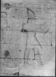 Photo »888« aus dem Edfu-Projekt.