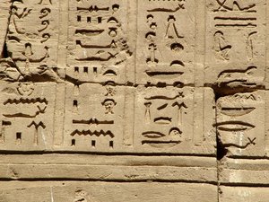 Photo »D05_1396« aus dem Edfu-Projekt.
