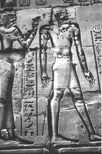 Photo »1303« aus dem Edfu-Projekt.