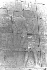 Photo »1807« of the Edfu-Project.
