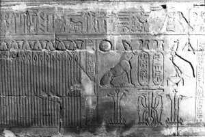 Photo »223« aus dem Edfu-Projekt.