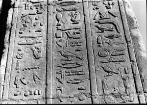 Photo »2749« aus dem Edfu-Projekt.