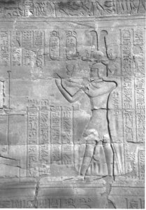 Photo »4377« aus dem Edfu-Projekt.