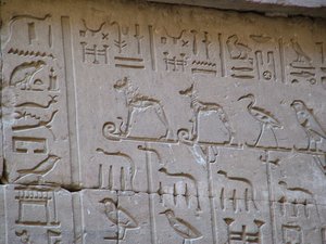 Photo »D05_2415« aus dem Edfu-Projekt.