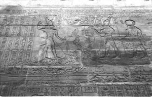 Photo »1412« aus dem Edfu-Projekt.