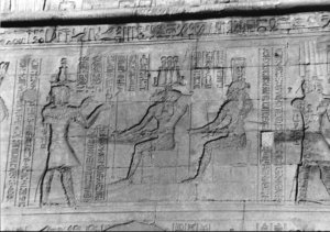 Photo »2110« of the Edfu-Project.