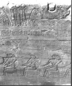 Photo »3046« aus dem Edfu-Projekt.