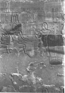 Photo »4047« aus dem Edfu-Projekt.