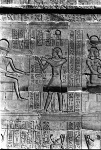 Photo »454« aus dem Edfu-Projekt.