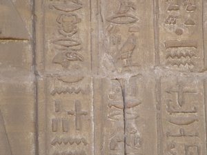 Photo »D05_6594« of the Edfu-Project.