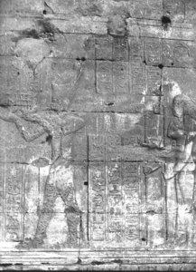 Photo »3131« of the Edfu-Project.