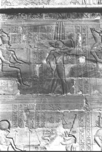 Photo »402« aus dem Edfu-Projekt.