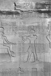 Photo »4359« aus dem Edfu-Projekt.