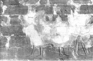 Photo »311« aus dem Edfu-Projekt.