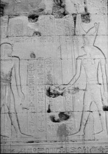 Photo »734« of the Edfu-Project.