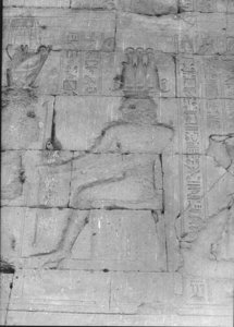 Photo »895« aus dem Edfu-Projekt.