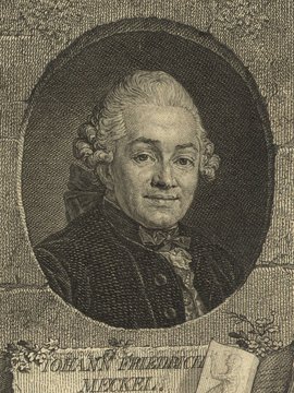 Porträt von Meckel von Hemsbach, Johann Friedrich  (Allgemeine deutsche Bibliothek., 1775, 24. Bd., 1. St., ungez. Bl. am Anf. d. Bandes. [Zuschnitt auf Schmuckrahmen])