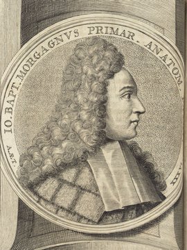 Porträt von Morgagni, Giambattista  (Deutsche Acta Eruditorum., 1721, 75. T., ungez. Bl. vor S. 151. [Zuschnitt auf Schmuckrahmen])