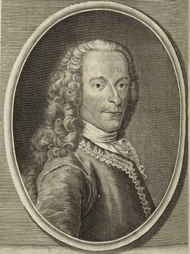 Porträt von Voltaire  (Deutsche Acta Eruditorum., 1738, 224. T., ungez. Bl. vor S. 533. [Zuschnitt auf Schmuckrahmen])