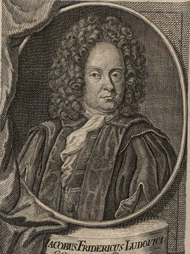 Porträt von Ludovici, Jacob Friedrich  (Neue Bibliothec oder Nachricht und Urtheile von neuen Büchern., 1716, 47. St., ungez. Bl. vor S. 545. [Zuschnitt auf Schmuckrahmen])